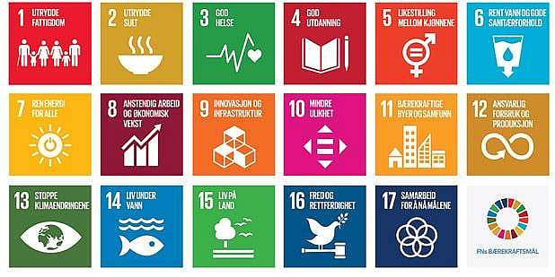 Mange firkanter i forskjellige farger med ikoner på. Disse symboliserer FNs 17 bærekraftsmål. Grafikk. 