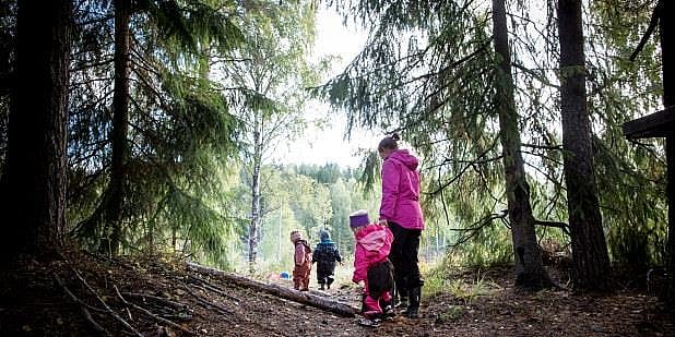 Tre barnehagebarn og en voksen går tur i skogen. Illustrasjonsfoto