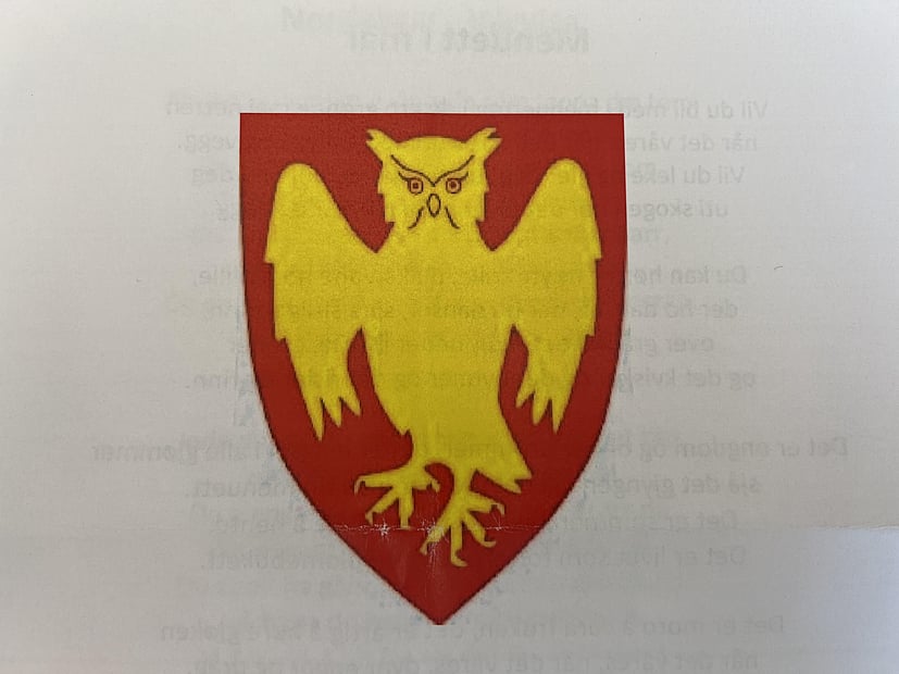 Kommunevåpen Elverum, Gul ugle på rød bakgrunn