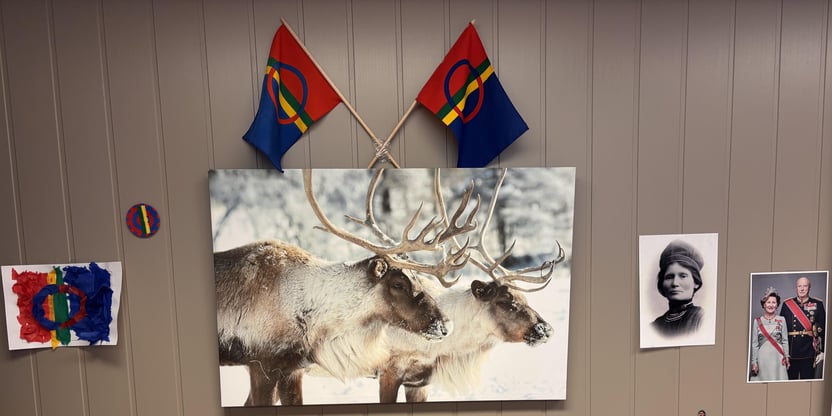 Bilde av to reinsdyr, med to samiske flagg i kryss på toppen.
