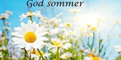 Illustrasjonsbilde av hvite og gule blomster i solskinn