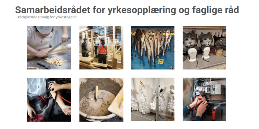 Samarbeidsrådet for yrkesopplæring og faglige råd oppnevnes av Utdanningsdirektoratet