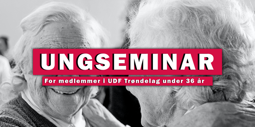Ungseminar
