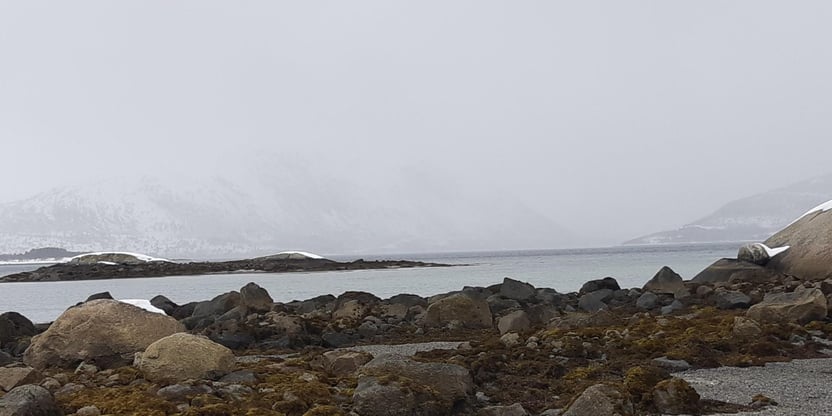 Bilde tatt i fjære ut mot havet. 