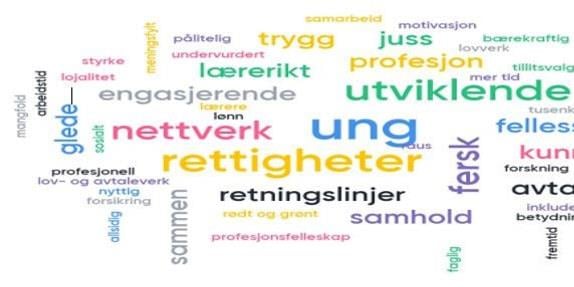 Skjermbilde av en ordsky om det å være ung og engasjert