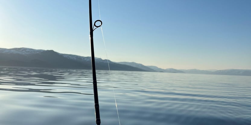 Fiskestang mot et blått, blankt hav, med blå himmel og landskap i det fjerne