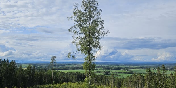 Ut på tur...