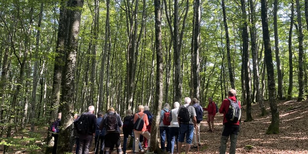 Tur i Bøkeskogen