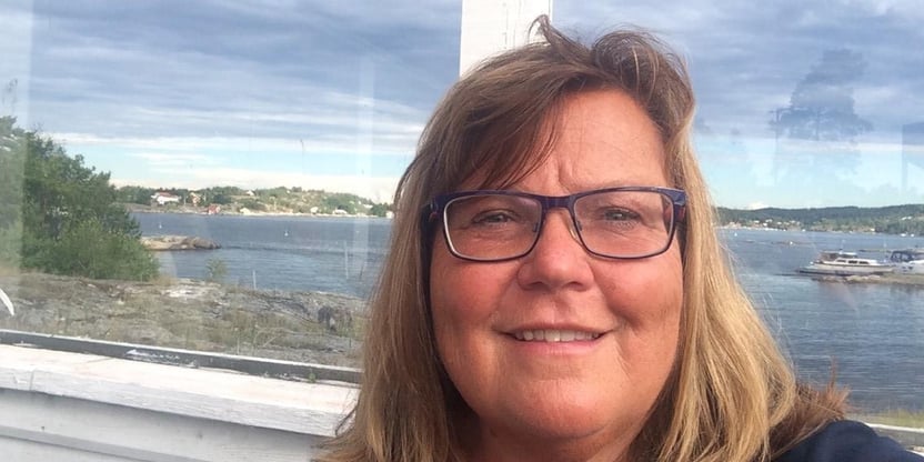 Bilde av Karin Holter. Ansiktet synes foran et vindu