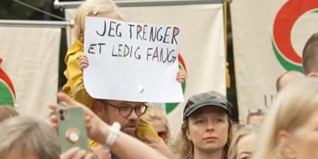 Foto - Markering for økt bemanning i barnehagene Et barnehagebarn på skuldrene av sin far, som bærer en plakat med teksten "Jeg trenger et ledig fang"