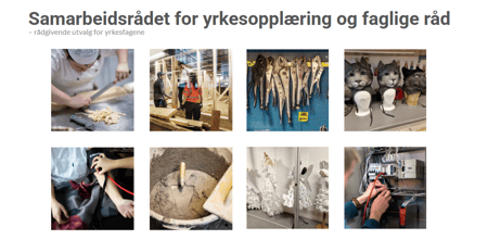Samarbeidsrådet for yrkesopplæring og faglige råd oppnevnes av Utdanningsdirektoratet