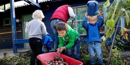 Bilde av barnehagebarn som høster poteter i kjøkkenhagen. Foto