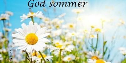 Illustrasjonsbilde av hvite og gule blomster i solskinn