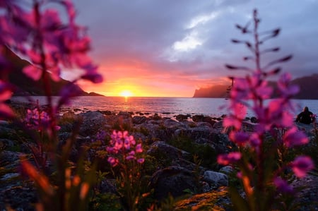 Mefjorden på Senja i midnattsol