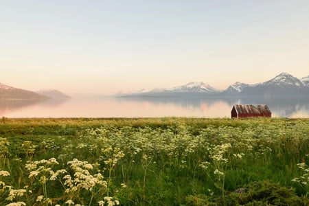Fra Djupvik i Kåfjord, sommereng ut mot havet