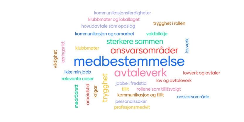 Ordsky fra tillitsvalgtopplæringen